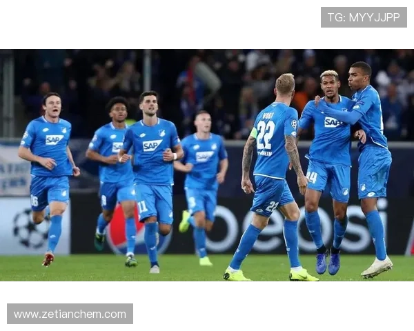 霍芬海姆1899俱乐部百年传承与德甲崛起之路全景解析